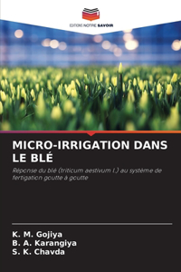 Micro-Irrigation Dans Le Blé