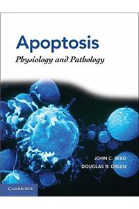 Apoptosis