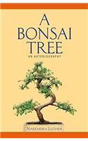 A Bonsai Tree