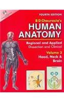 Human Anatomy