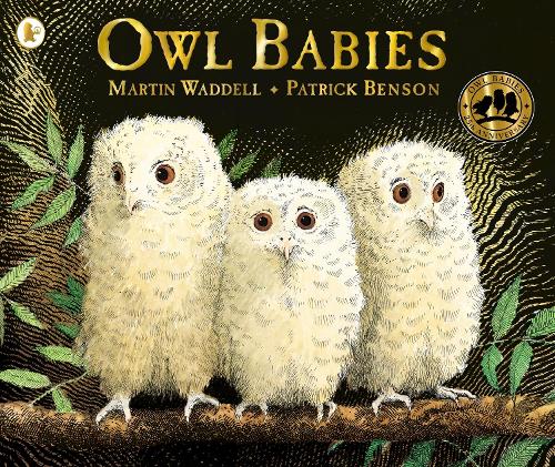 Owl Babies