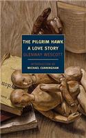 Pilgrim Hawk