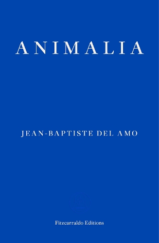 Animalia