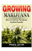 Growing Marijuana