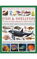 Illlustrated Encyclopedia of Fish & Shellfish of the World