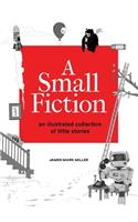 Small Fiction