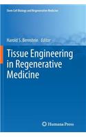 Tissue Engineering in Regenerative Medicine