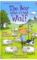 The Boy who cried Wolf