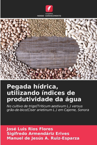 Pegada hídrica, utilizando índices de produtividade da água