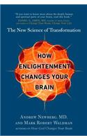 How Enlightenment Changes Your Brain