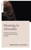 Meaning in Absurdity – What bizarre phenomena can tell us about the nature of reality