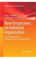 New Perspectives on Industrial Organization