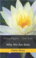 Many Mystics - One Truth