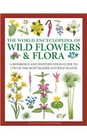World Encyclopedia of Wild Flowers & Flora