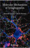 Molecular Mechanisms of Synaptogenesis