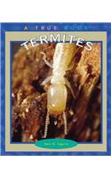 Termites