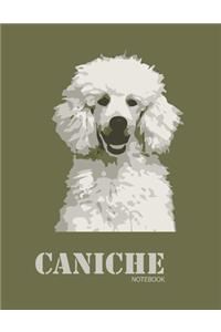 Caniche