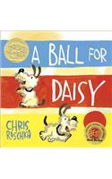 Ball for Daisy