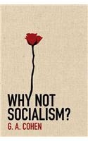 Why Not Socialism?