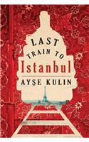 Last Train to Istanbul