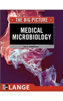 Medical Microbiology: The Big Picture