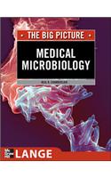 Medical Microbiology