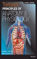 Anatomy And Physiology With Study Guide Global Edition