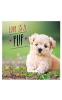 Love Is a Pup
