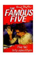 Five Fall into Adventure: 9: Famous Five