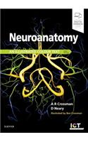 Neuroanatomy: an Illustrated Colour Text