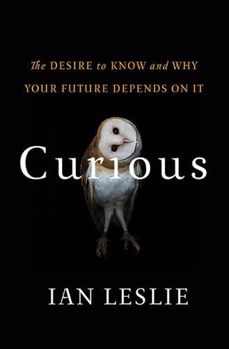 Curious: The Desire to Know and Why Your Future Depends on It(English)