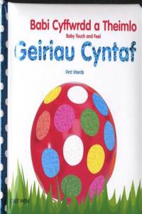 Babi Cyffwrdd a Theimlo/Baby Touch and Feel: Geiriau Cyntaf/First Words