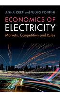 Economics of Electricity
