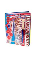 Scholastic Discover More: Human Body