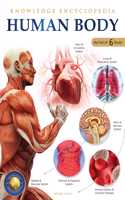 Knowledge Encyclopedia: Human Body