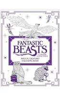 Fantastic Beasts and Where to Find Them: Magical Creatures Colouring Book