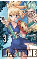 Dr. Stone, Vol. 3