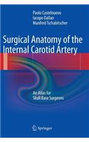 Surgical Anatomy of the Internal Carotid Artery