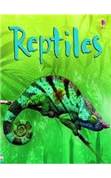 Reptiles