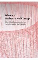 What is a Mathematical Concept?