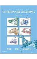 Dyce, Sack, and Wensing's Textbook of Veterinary Anatomy
