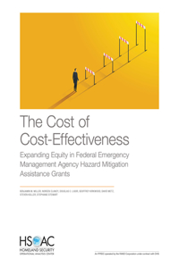 The Cost of Cost-Effectiveness