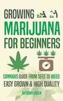 Growing Marijuana for Beginners