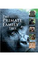 The Primate Family Tree