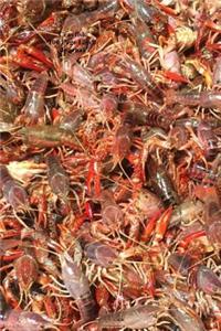 Crayfish 100 Page Lined Journal