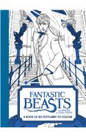Fantastic Beasts and Where to Find Them: A Book of 20 Postcards to Colour