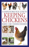 Complete Practical Guide to Keeping Chickens