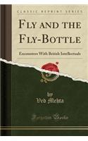 Fly and the Fly-Bottle