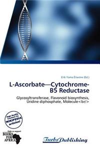 L-Ascorbate-Cytochrome-B5 Reductase