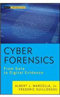 Cyber Forensics